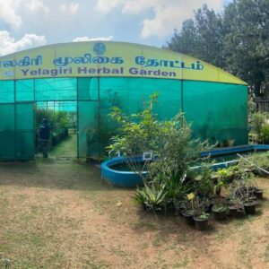 Government Herbal Farm