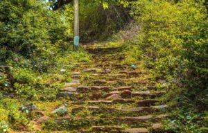 Trekking in yelagiri