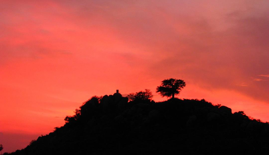 Yelagiri Hills famous for